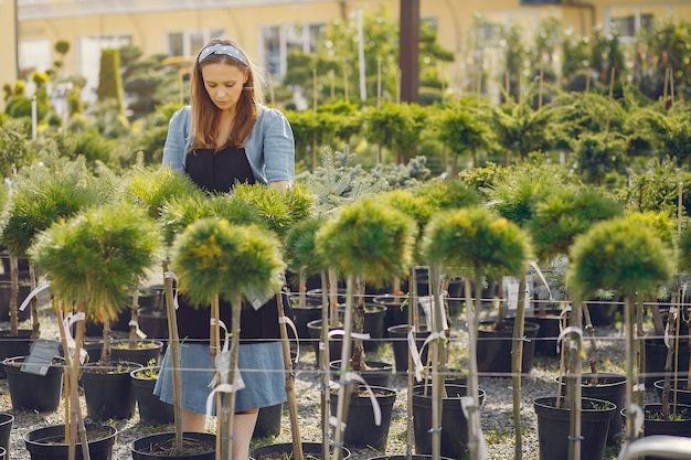 Heimische Laubbäume für den Garten – Praktyczne Możliwości Poznać