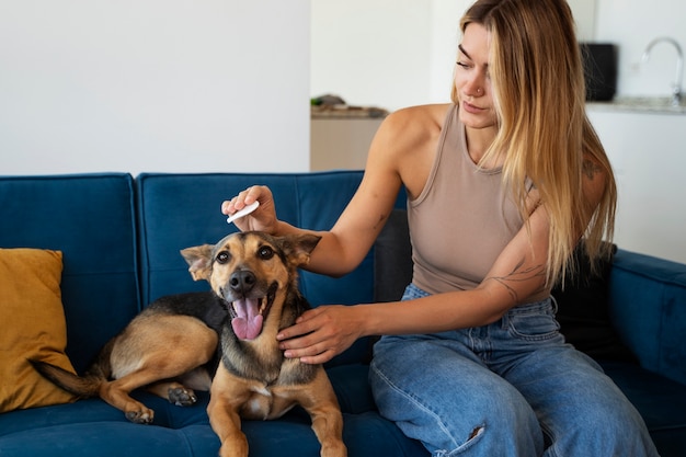Mittel gegen zecken hund ohne chemie – Direkt Veränderungen einordnen