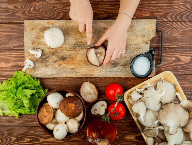 Pilze Essen wenn einer Schimmelt – Welche Lagerung Verlangsamt die Schimmelbildung anhand des Fehlerbilds?