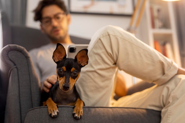 Sofa Riecht nach Hund – Passende Lösung Gezielt Finden
